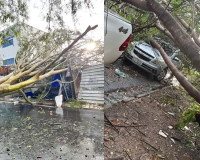 Árvore cai sobre ônibus com mais de 80 passageiros durante chuva em Teresina