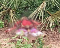 Corpo em estado avançado de decomposição é encontrado em Parnaíba
