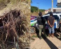 Polícia prende suspeito e recupera transformador furtado em ação rápida no PI