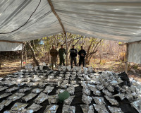 Polícia faz apreensão recorde de 1,5 tonelada de maconha no Piauí