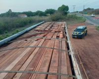 Caminhão que carregava 38m² de madeira sem licença é apreendido na BR-343 no Piauí
