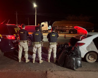 PRF apreende quase 100 kg de maconha durante fiscalização na BR-316