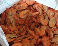 PRF apreende mais de 1,3 tonelada de pescado impróprio para consumo em ônibus na BR-343, em Piripiri