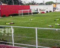 Jogadores do 4 de Julho deitam no gramado para escapar de ataque de abelhas