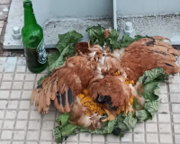 Bancos da cidade de Barras amanhecem com despachos na calçada