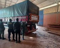 Operação em municípios no Piauí aplica multa de R$ 550 mil por crimes de desmatamento ilegal