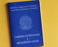 Piauí é líder no Nordeste em geração de empregos formais no primeiro semestre de 2025