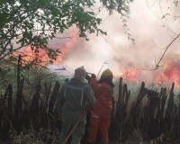 Inteligência Artificial antecipa cenários e faz previsão de onde ocorrerão incêndios no Piauí