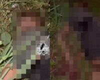 Corpo de homem é encontrado seminu e com marcas de tiros em matagal na zona Sul de Teresina