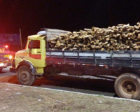 PRF apreende 13,94m³ de madeira nativa transportada sem documentação ambiental em Piripiri (PI)