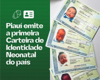 SSP-PI lança Projeto de Identificação Neonatal no Piauí