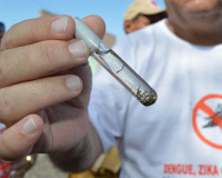 Homem de 45 anos é a primeira morte por dengue em Teresina em 2025