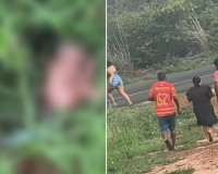 Um dia após ser resgatada, recém-nascida encontrada em matagal morre em maternidade de Teresina