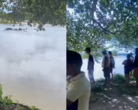 Jovem de 19 anos desaparece após se afogar no Rio Parnaíba, em Madeiro, no Piauí