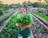 Senado aprova empréstimo de US$ 50 milhões para impulsionar o desenvolvimento rural no Piauí