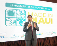 Plataforma Made in Piauí é lançada para conectar produtores piauienses ao mercado digital