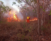 Piauí é considerado um dos estados que mais registra focos de incêndio no país