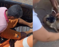 Bruto: Polícia prende homem que esfaqueou cachorro