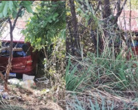 Colisão entre carros e vaca deixa homem preso às ferragens na BR-343