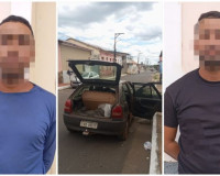 Dupla é detida com placa adulterada e animais suspeitos de furto em Campo Maior (PI)
