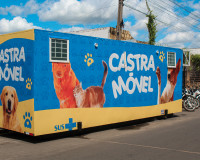 Castramóvel Piripiri inicia atendimentos para controle populacional de cães e gatos