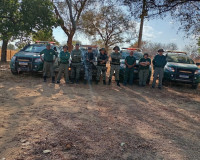 Operação conjunta da PM e Ibama apreende armas e resgata animais silvestres no Piauí