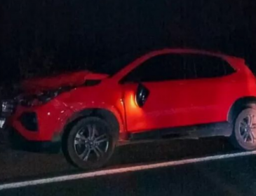 Colisão entre carro e animal é registrado na PI-115