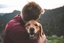 Ciência confirma que os cachorros podem sim sentir a emoção dos donos