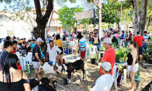 DE VOLTA AO CURUMIM: Feira da Agricultura Familiar retorna ao espaço