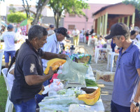 Feira da Agricultura Familiar movimenta a economia em Piripiri