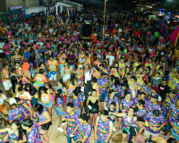 Brasifolia atrai multidão ao carnaval de Brasileira; confira fotos!