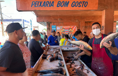 Consumo de peixe durante a semana santa aquece o comércio de Piripiri