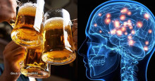 Estudo mostra que beber cerveja pode diminuir o tamanho do cérebro