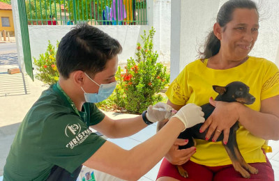 PIRIPIRI: Mais de 10 mil animais foram imunizados na Campanha da Vacinação Antirrábica