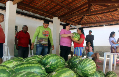 Feira da Agricultura Familiar gera emprego e renda para produtores de Piripiri