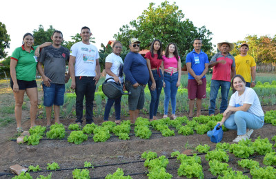Prefeitura de Lagoa de São Francisco oferta cursos de Colheita do Mel e Manejo de Hortaliças