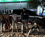 Três homens são presos com armas e drogas em Piripiri