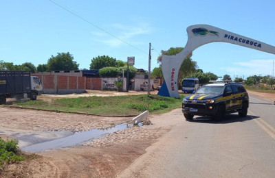 PRF recolhe 214 animais soltos às margens de rodovias do Piauí