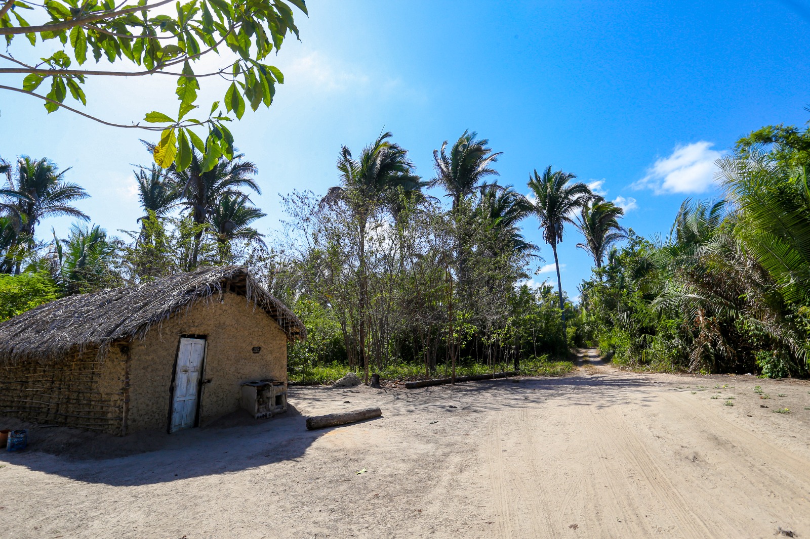 Foto - Cidade Verde